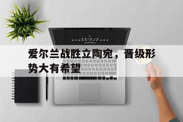 九州娱乐-爱尔兰战胜立陶宛，晋级形势大有希望的简单介绍